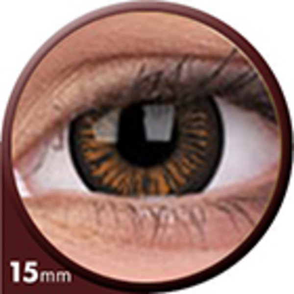 Phantasee Big Eyes - Charming Brown (2 St. 3-Monatslinsen) – ohne Stärke